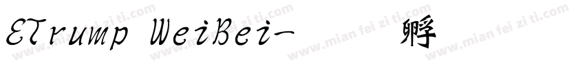 ETrump WeiBei字体转换